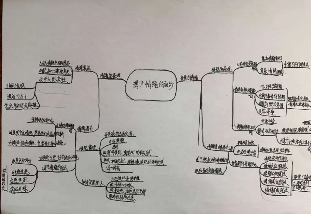 学生整理的思维导图
