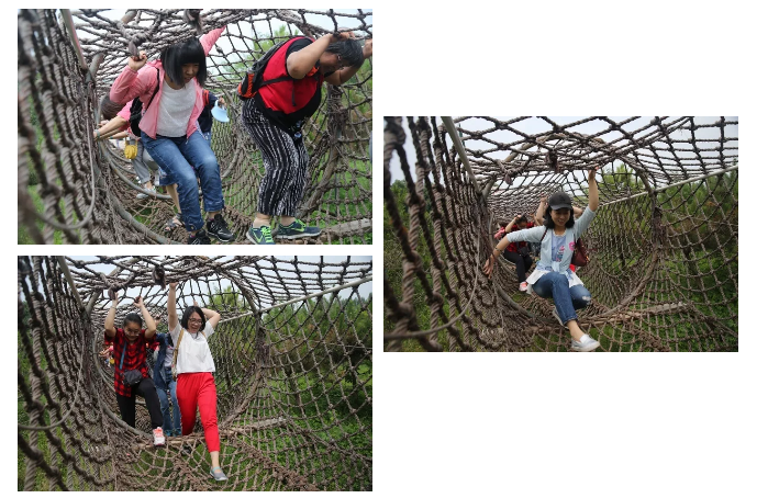 1529378960338473.png 1529378865(1).png