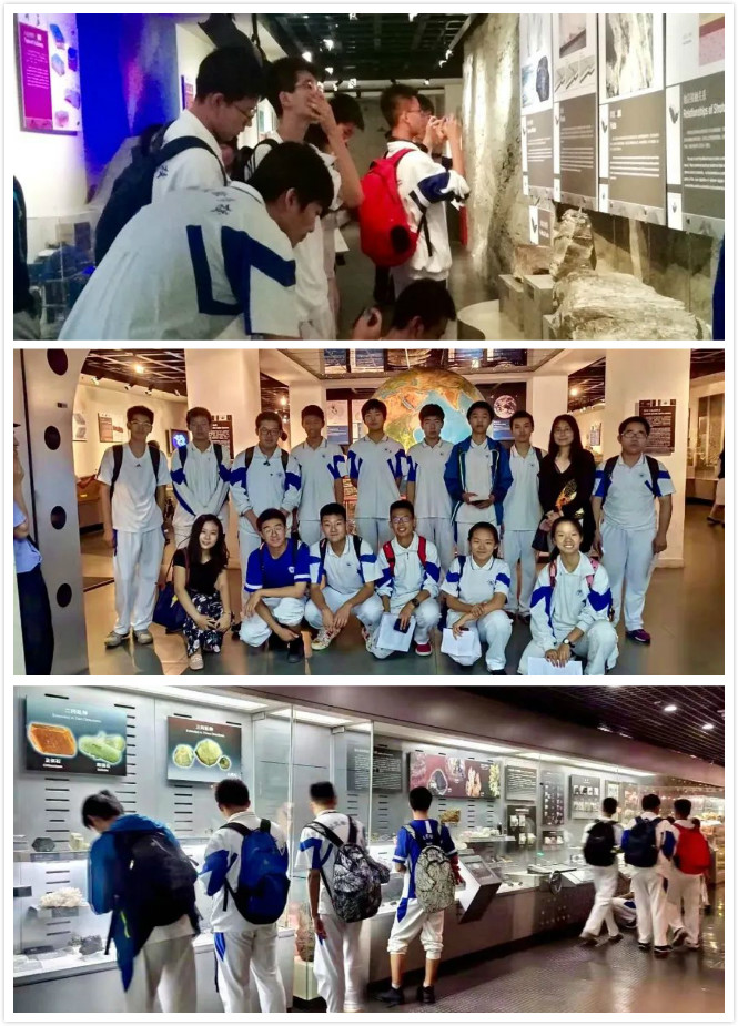 中国地质博物馆