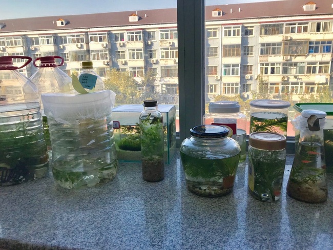 1544142025113933.jpg 3.jpg