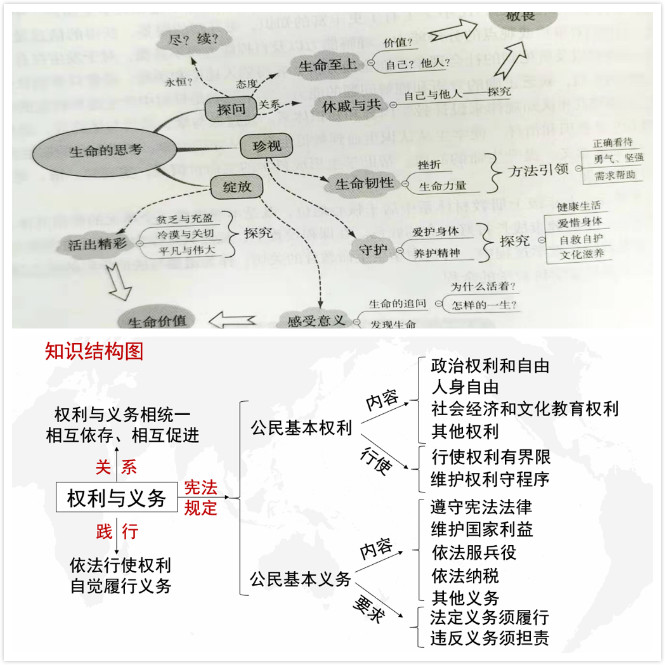 教学思维导图课堂小结或单元复习