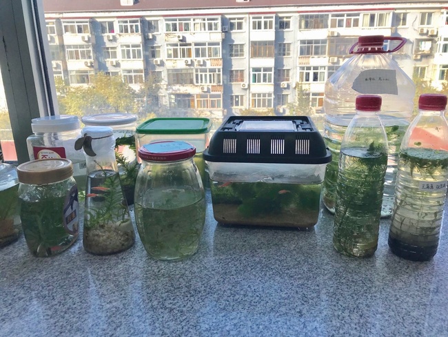 1544142013557718.jpg 2.jpg